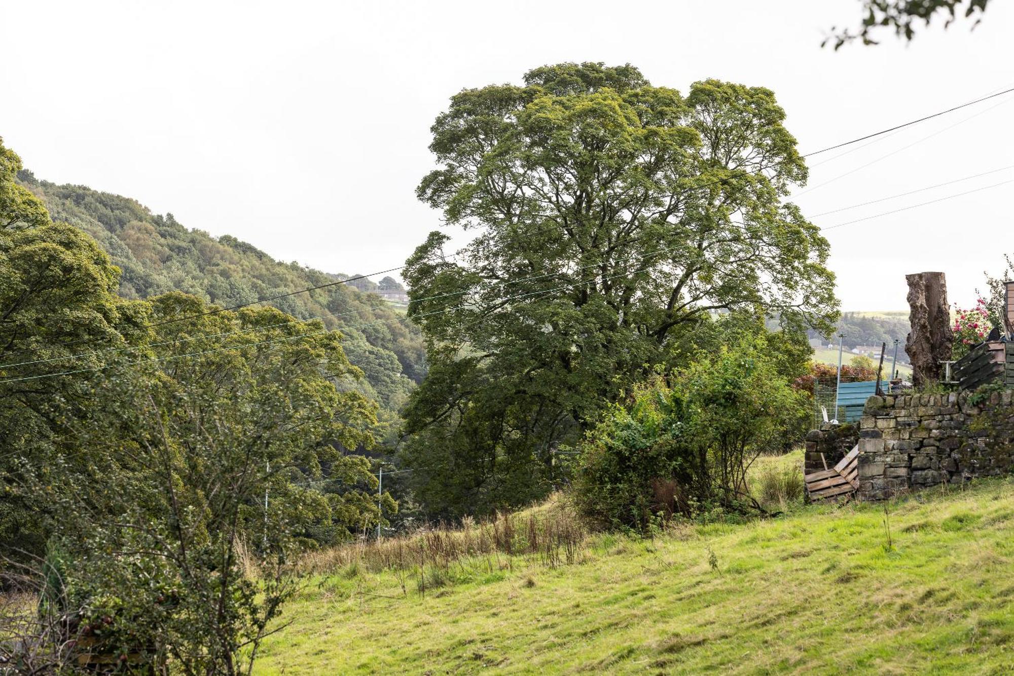 The Wagon Shed Villa Sowerby Bridge Eksteriør bilde